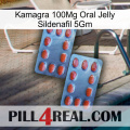 Kamagra 100Mg Oral Jelly Sildenafil 5Gm 05